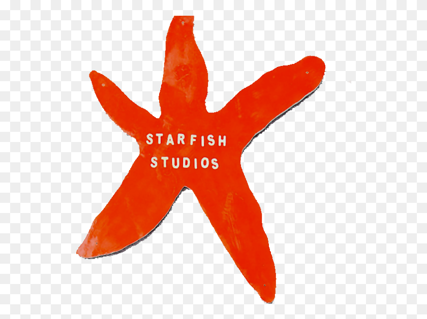 542x569 Starfish Youth Music Starfish, Leaf, Plant, Symbol HD PNG Download