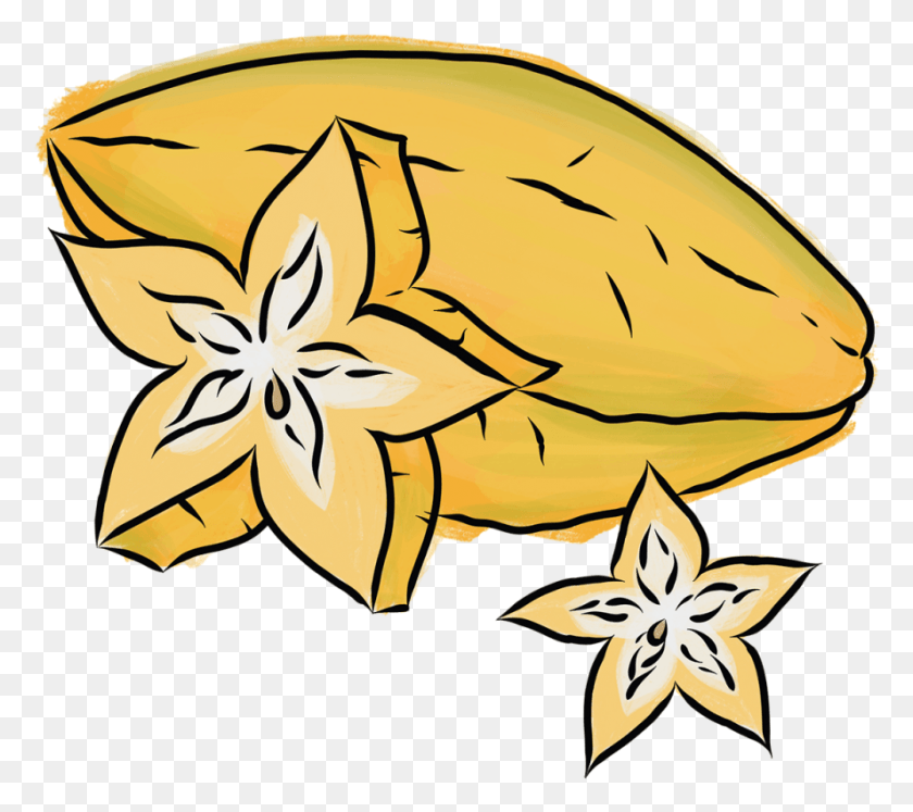 886x781 Starfruit, Plant, Symbol, Animal HD PNG Download