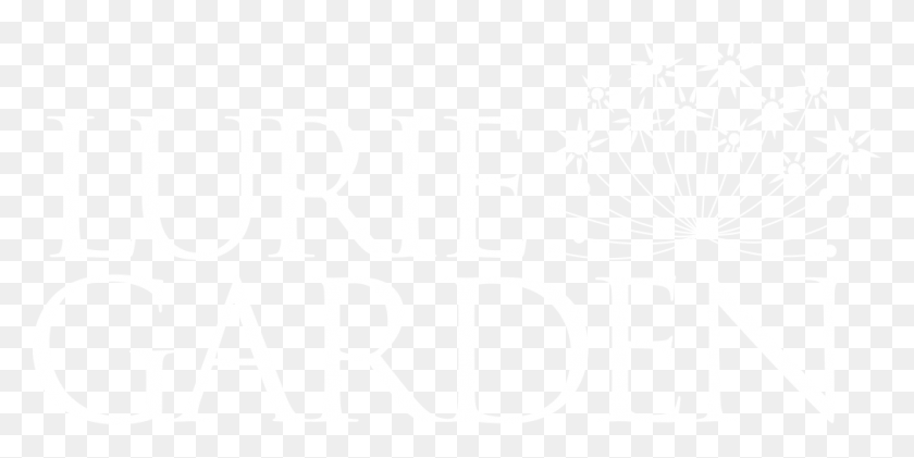 1000x464 Starhill Global Reit, White, Texture, White Board HD PNG Download