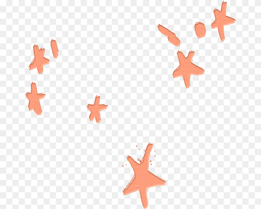 681x674 Stars Orange Overlay Sticker Echinoderm, Animal, Bird Transparent PNG