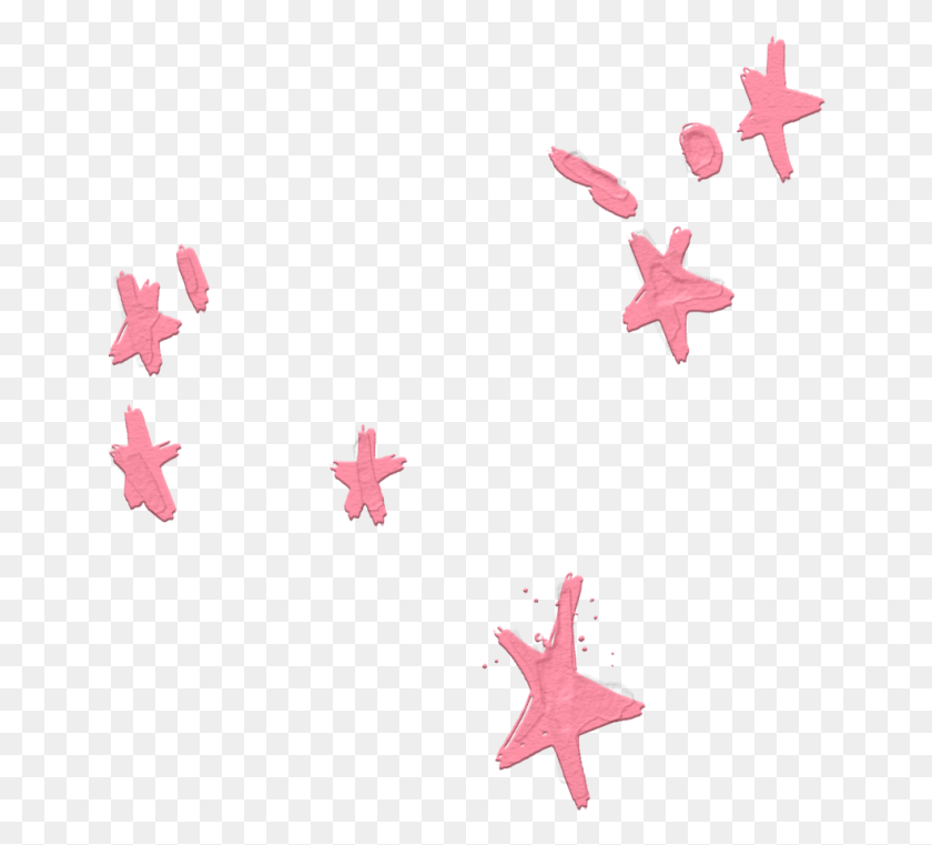 649x701 Estrellas De Color Rosa Superposición Etiqueta Engomada De La Estrella De Mar, Gecko, Lagarto, Reptil Hd Png