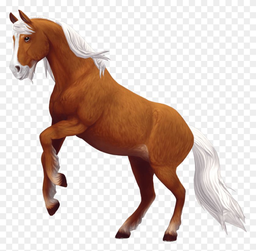 907x889 Starshine Meteor Tin Can Star Stable Soul Rider Horses, Horse, Mammal, Animal HD PNG Download