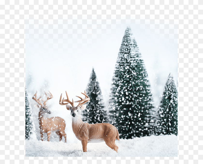 630x618 Start Animation A Winter Oboe Symphony Classical Winter And Christmas, Nature, Outdoors, Antelope HD PNG Download