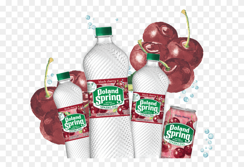 634x517 Start Shopping Sparkling Water Ny, Plant, Beverage, Drink HD PNG Download