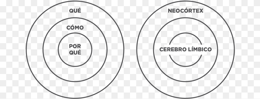 678x321 Start With Why Sinek Circulo Cerebro Limbico Horizon Observatory, Nature, Night, Outdoors, Indoors PNG