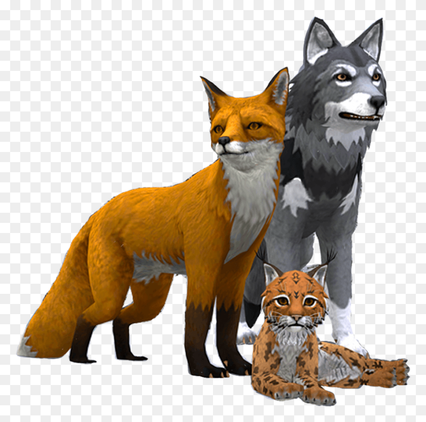 887x880 Start Your Adventure As A Wolf Fox Lynx And More Wildcraft Animal Sim Online 3d, Mammal, Kit Fox, Canine HD PNG Download