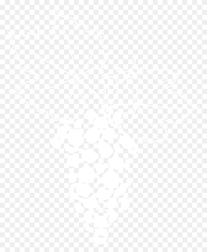 820x1009 Starts With Respect For The Grapes Grape, Plant, Fruit, Food HD PNG Download