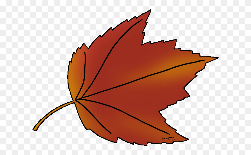 626x458 State Tree Of Rhode Island Rhode Island Maple Leaf, Leaf, Plant, Maple HD PNG Download
