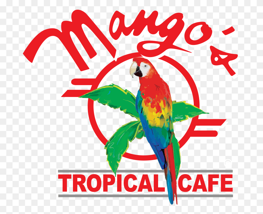 695x626 Stay Up To Date On All Our Latin Dance Classes Socials Mangos Tropical Cafe Logo, Bird, Animal, Graphics HD PNG Download