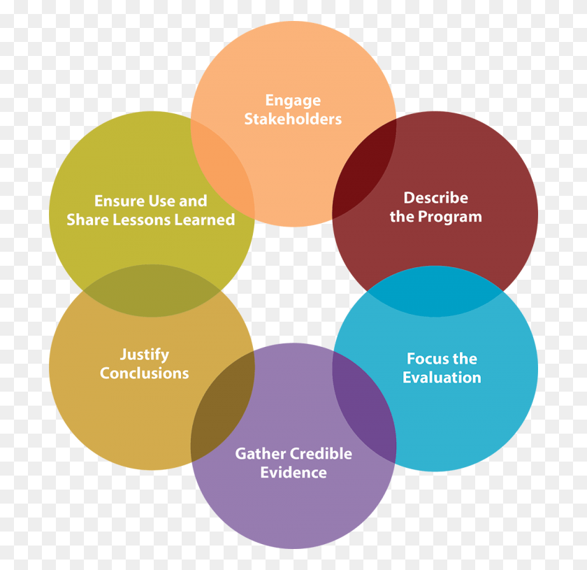 700x755 Std Program Evaluation Tools Amp Trainings Six Steps Stakeholder Circle, Text, Diagram, Purple HD PNG Download