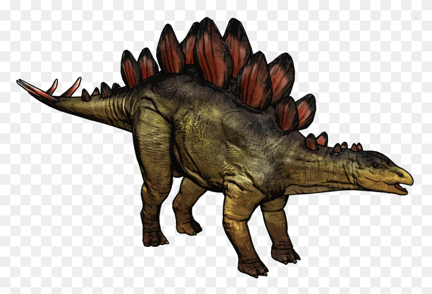 1219x802 Стегозавр Фотографии Стегозавр, Рептилия, Животное, Динозавр Hd Png Скачать