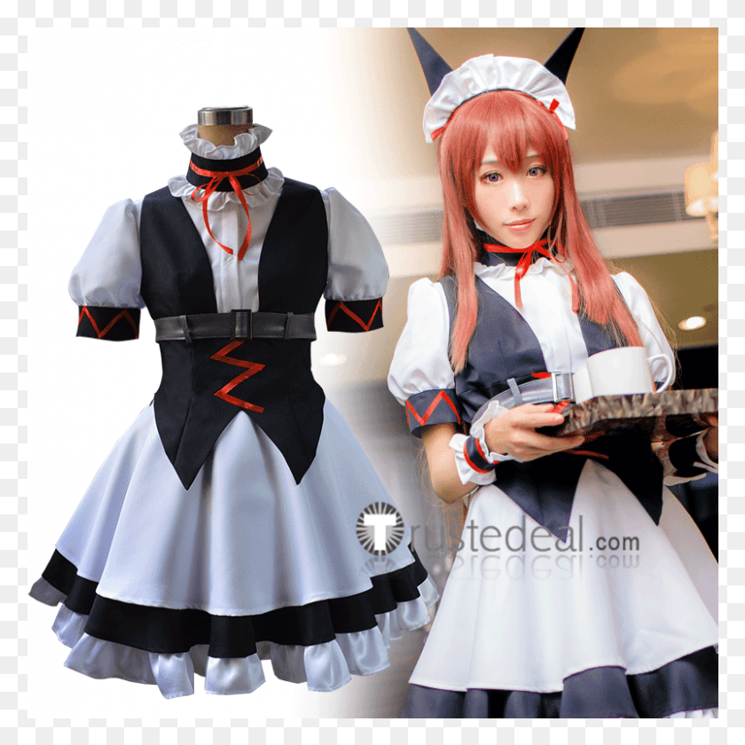801x801 Steins Gate Faris Nyannyan Cosplay, Costume, Person, Human HD PNG Download