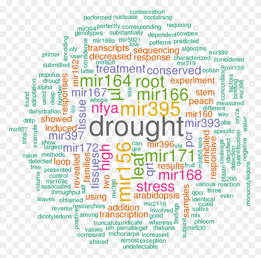 1148x1135 Stem Loop Sequence Ppe Mir169i Word Cloud In R Studio, Text, Poster, Advertisement HD PNG Download