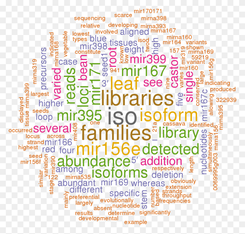 1262x1203 Stem Loop Sequence Rco Mir156a Rstudio Word Cloud, Text, Alphabet, Number HD PNG Download