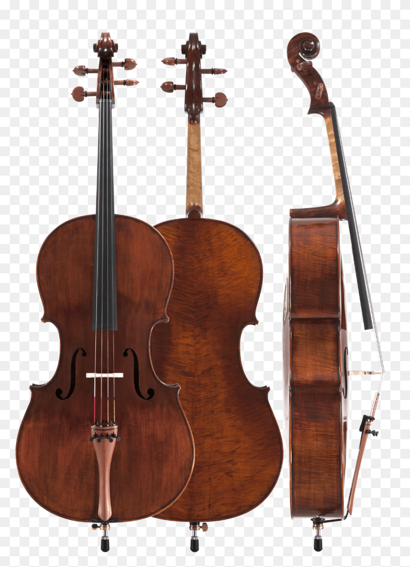 813x1149 Step Up Cellos, Musical Instrument, Cello, Leisure Activities HD PNG Download