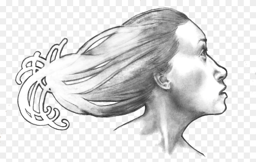 Steph Guidera Artist Sketch, Head, Portrait, Photography, Face PNG
