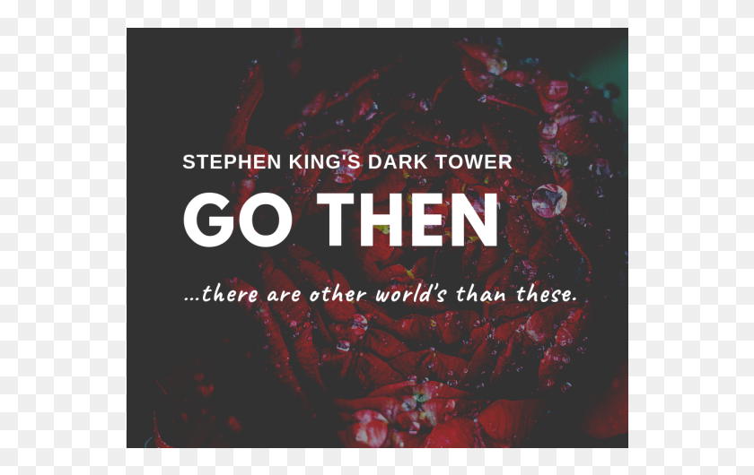 560x470 Stephen King Night Poster, Advertisement, Flyer, Paper HD PNG Download