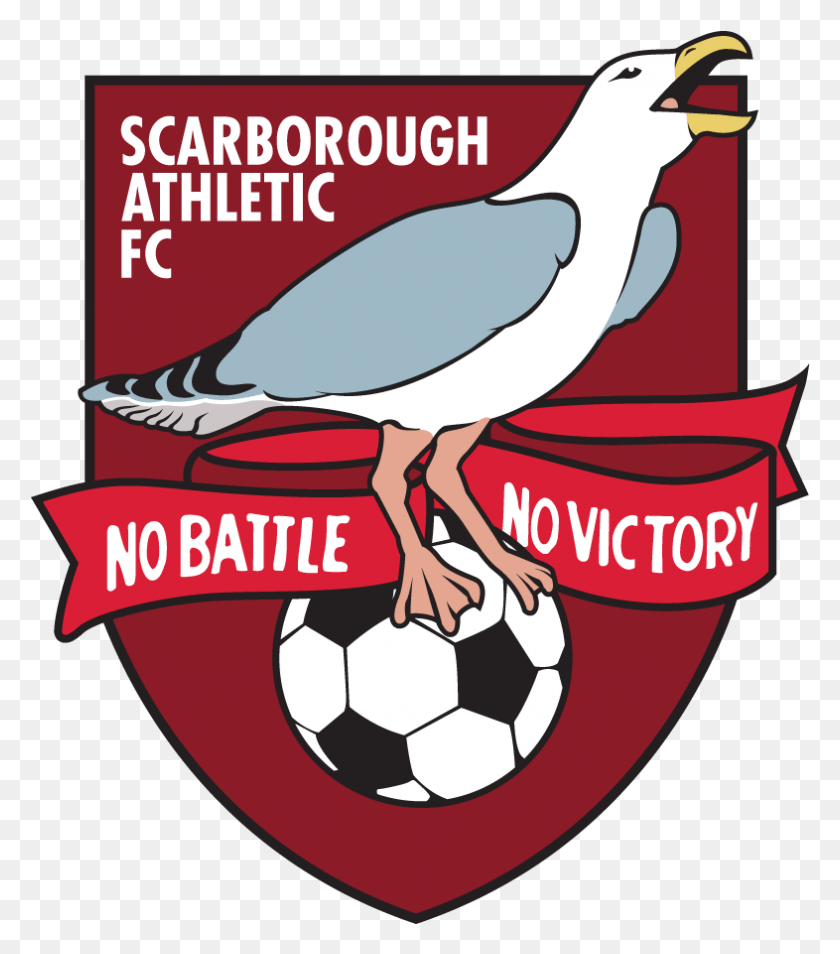 786x901 Steve Kittrick Has Made Another Addition To The First Scarborough Fc, Animal, Advertisement, Bird HD PNG Download