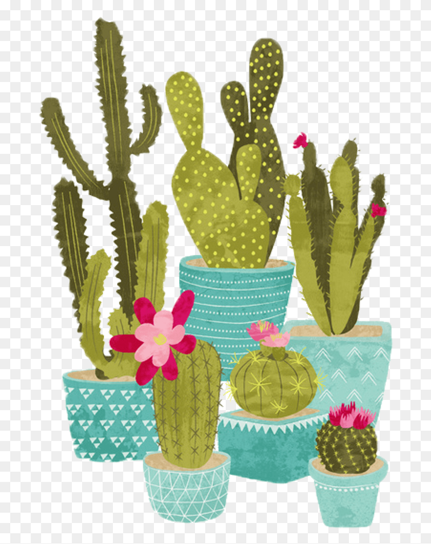 692x1001 Sticker Cactus Aesthetic Icon, Plant, Potted Plant, Vase HD PNG Download