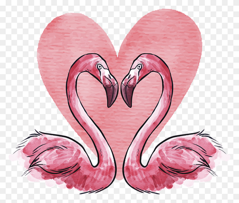 800x669 Descargar Png Sticker De Amor Flamenco Corazn Flamenco Corazon, Flamingo, Bird, Animal Hd Png