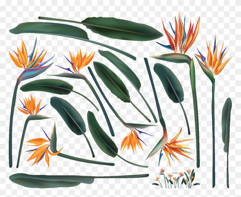 1182x950 Sticker Fleurs Tropicales Oiseaux De Paradis Ambiance Illustration, Plant, Flower, Blossom HD PNG Download