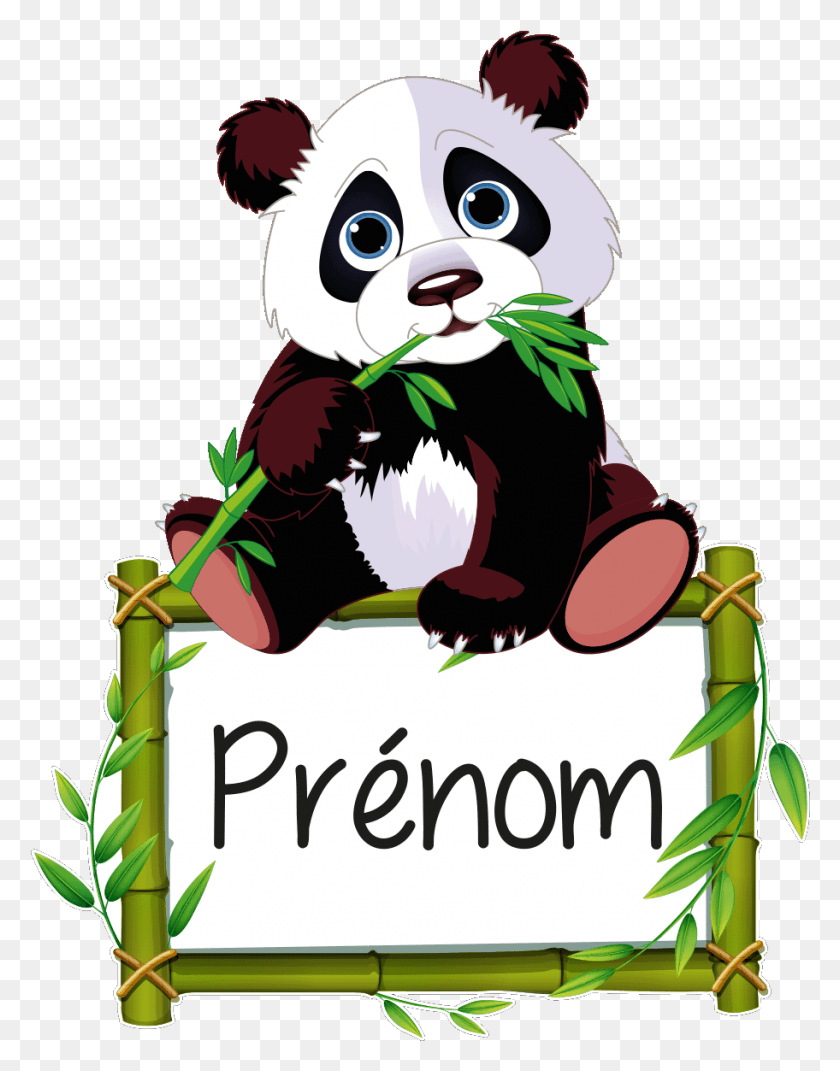 912x1183 Sticker Prenom Personnalisable Panda Et Son Bambou Pandabr Clipart, Wildlife, Animal, Mammal HD PNG Download