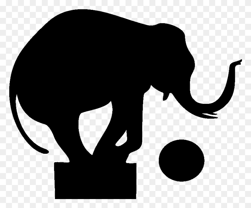 801x655 Sticker Prise Elephant De Cirque Ambiance Sticker Kc12244 Circus Elephant Silhouette, Gray, World Of Warcraft HD PNG Download