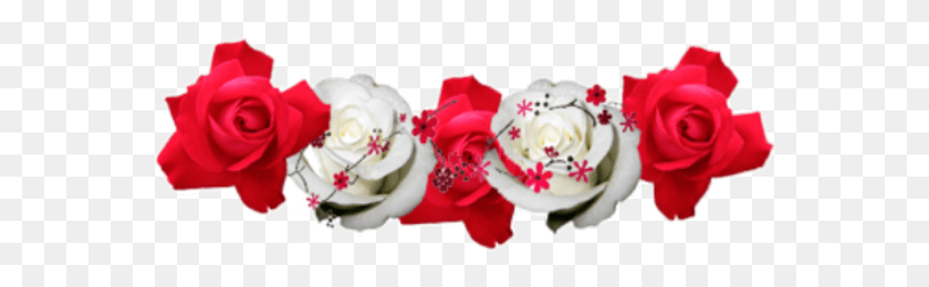 567x200 Sticker Stickers Crown Flowercrown Red And White Flowers, Plant, Flower, Blossom HD PNG Download