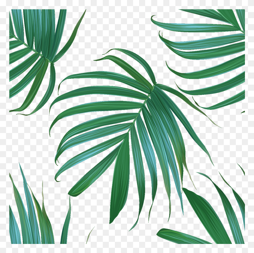 1193x1189 Sticker Tapisserie Tropicale Feuilles De Palmiers Ambiance Palm Fronds Transparent Background, Leaf, Plant, Green HD PNG Download