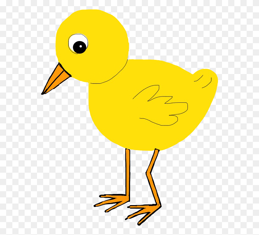 574x702 Stickers Chicken Chickadee Chick Art Myart Carlafritzefreetoedit Duck, Bird, Animal HD PNG Download