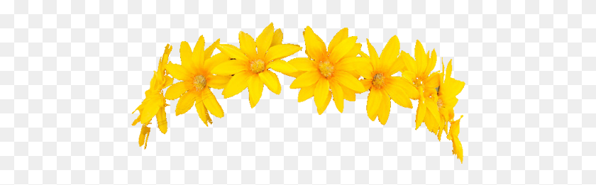 472x201 Stickers Edit Edits Head Face Pic Photo Sunflower Flower Crown, Plant, Petal, Blossom HD PNG Download