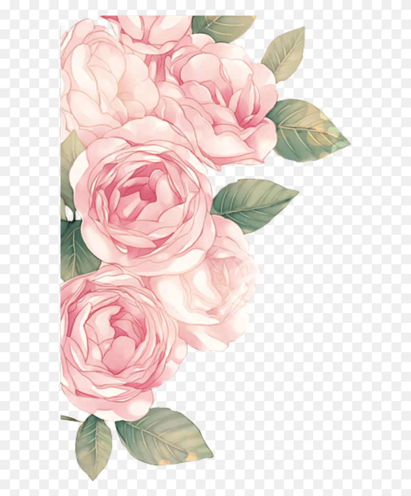 596x954 Stickers Transparent Floral Akvarelnie Cveti V, Plant, Flower, Blossom HD PNG Download