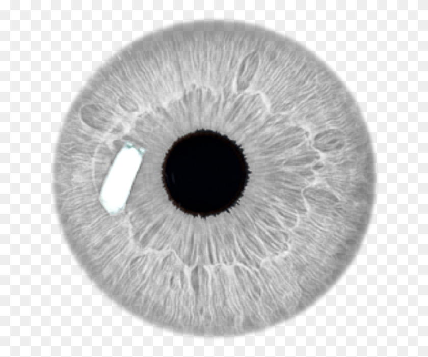 650x641 Stickers Transparent Grey Filter Aesthetic Freetoed Eye Lens For Photoshop, X-ray, Medical Imaging X-ray Film, Ct Scan HD PNG Download