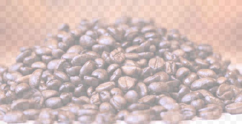 Stimulatte Gourmet Coffee Experience Mobile Coffee Java Coffee, Beverage, Coffee Beans Clipart PNG