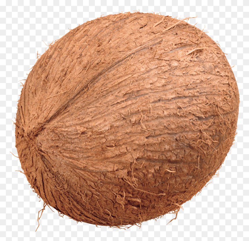 2613x2524 Stock Coconut Clipart Free On Coconut HD PNG Download