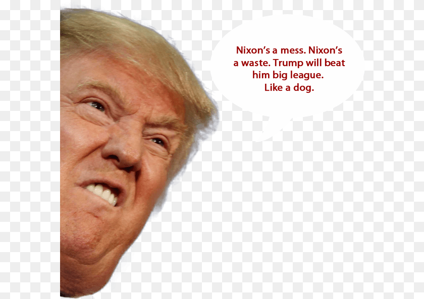 605x593 Stock Face Trump Funnypictures Stock Donald Trump Funny Face, Portrait, Head, Photography, Person PNG