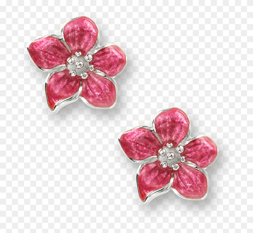 726x714 Stock Flower Earrings Transparent Background, Jewelry, Accessories, Accessory HD PNG Download