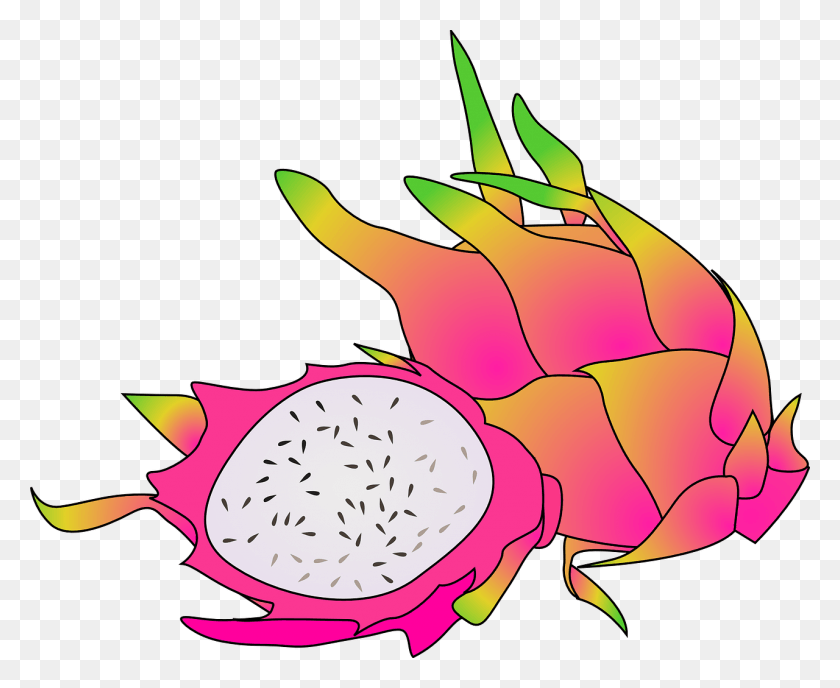 1280x1031 Stock Free Animations And Vectors Dragon Clip Art Dragon Fruit, Plant, Flower, Sea Life HD PNG Download