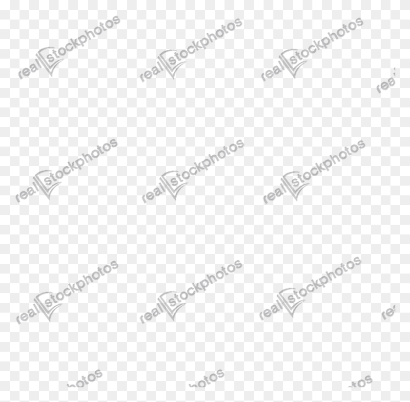 1445x1415 Stock Image Watermark Handwriting, Text, Face, Alphabet HD PNG Download