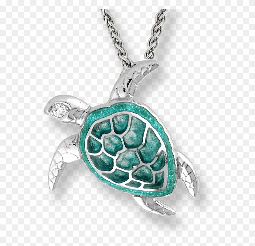 576x751 Ожерелье С Морской Черепахой, Кулон, Медальон, Ювелирные Изделия Png Скачать