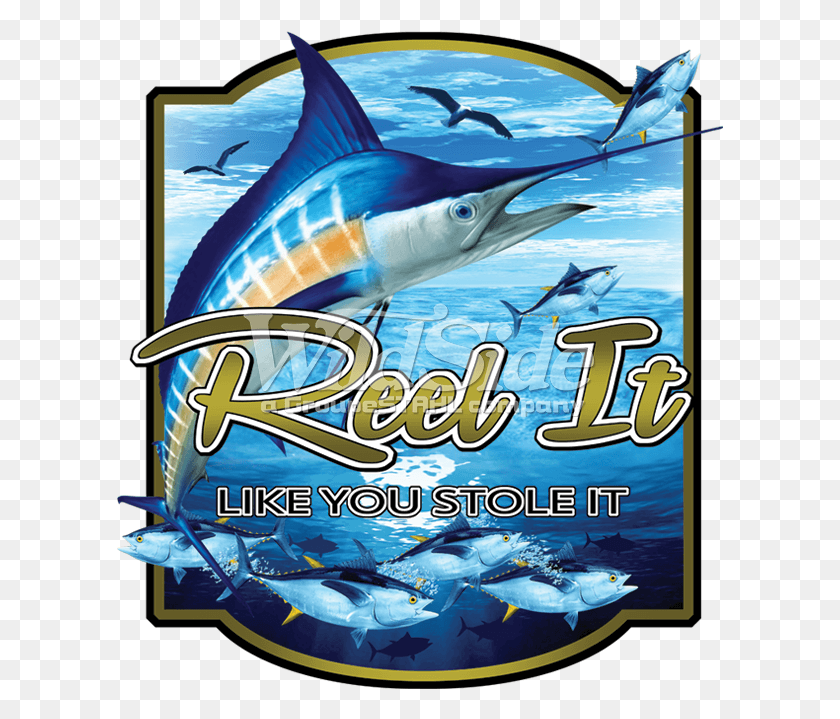 607x659 Stock Transfer Atlantic Blue Marlin, Bird, Animal, Sea Life HD PNG Download