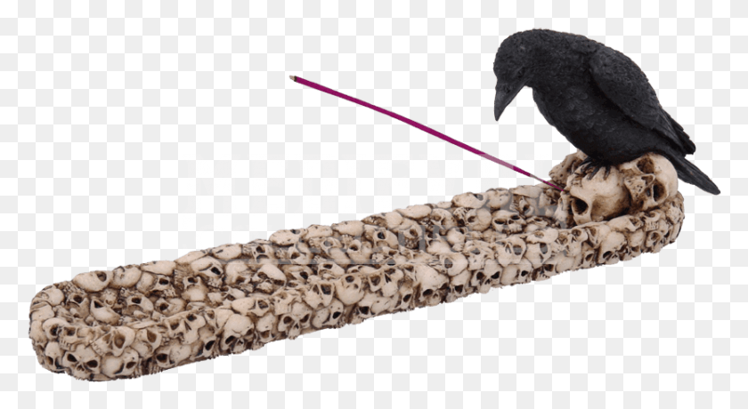 Stojan Na Vonn Tyinky, Bird, Animal, Rug HD PNG Download