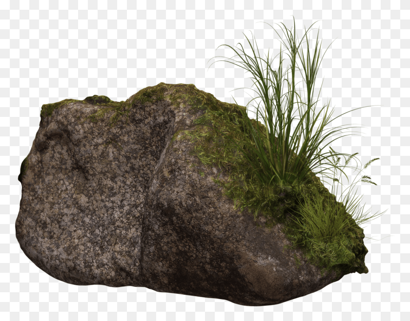 1195x919 Stone Image Rock With Moss, Plant, Grass, Vegetation HD PNG Download