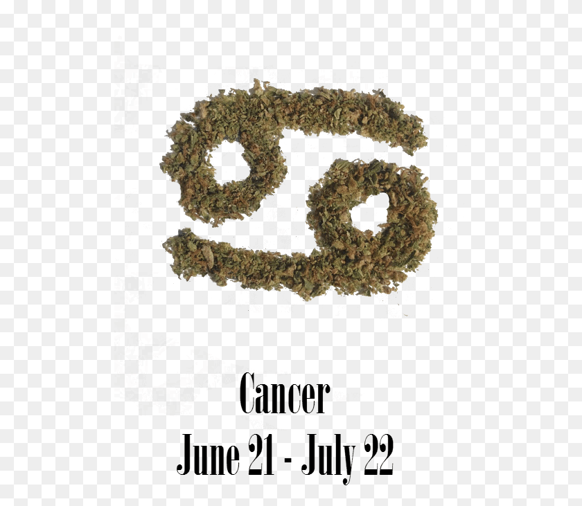 512x671 Stoner Cancer Monthly Horoscope Moss, Text, Number, Symbol HD PNG Download