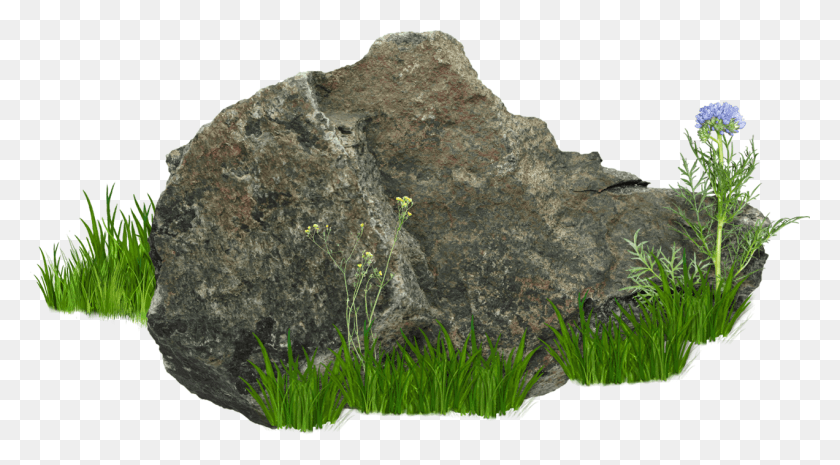 1272x662 Stones And Rocks Image Rock Background, Plant, Grass, Vegetation HD PNG Download