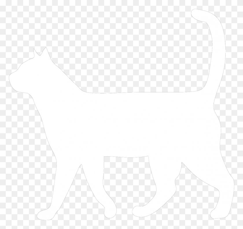 1181x1108 Deje De Estresar El Gato Meowt, Etiqueta, Texto, Animal Hd Png