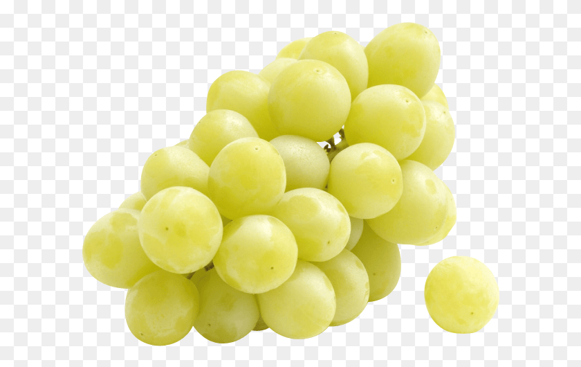 606x470 Storage Temperatures Sultana, Plant, Grapes, Fruit HD PNG Download