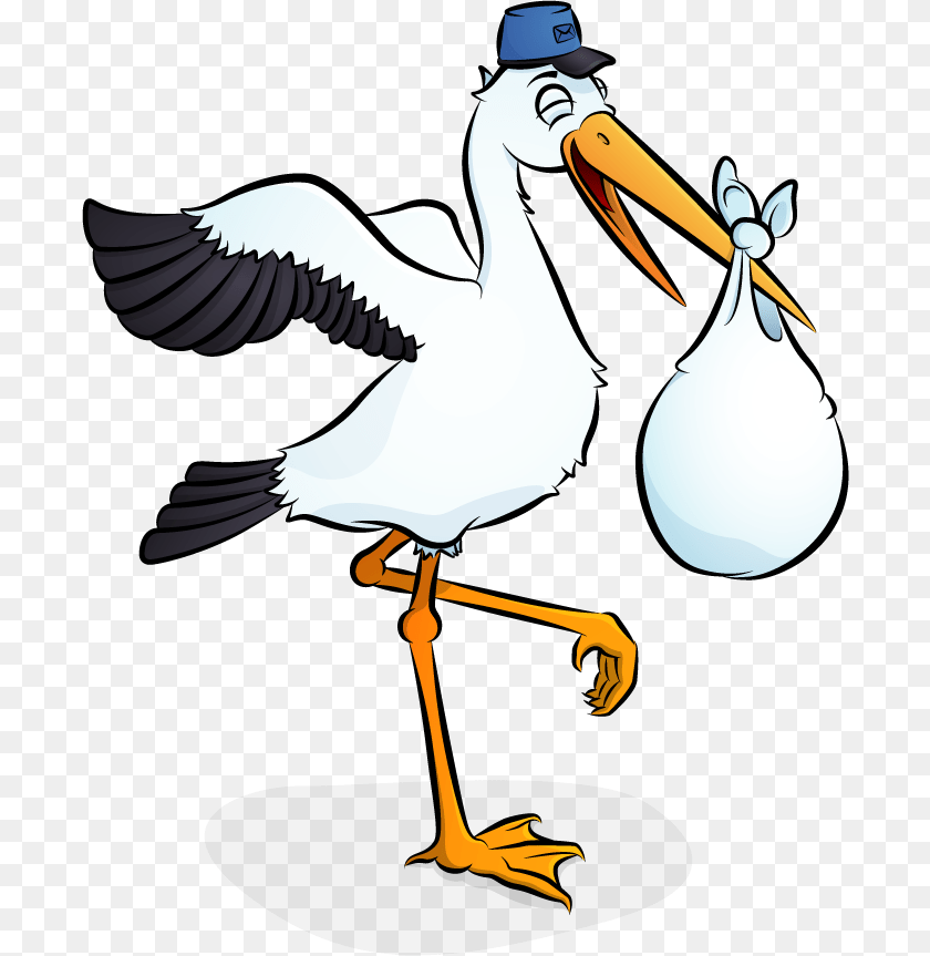 693x863 Stork, Animal, Beak, Bird, Waterfowl Sticker PNG