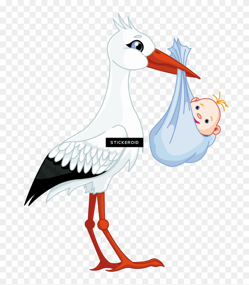 Stork, Animal, Bird, Waterfowl, Goose Sticker PNG