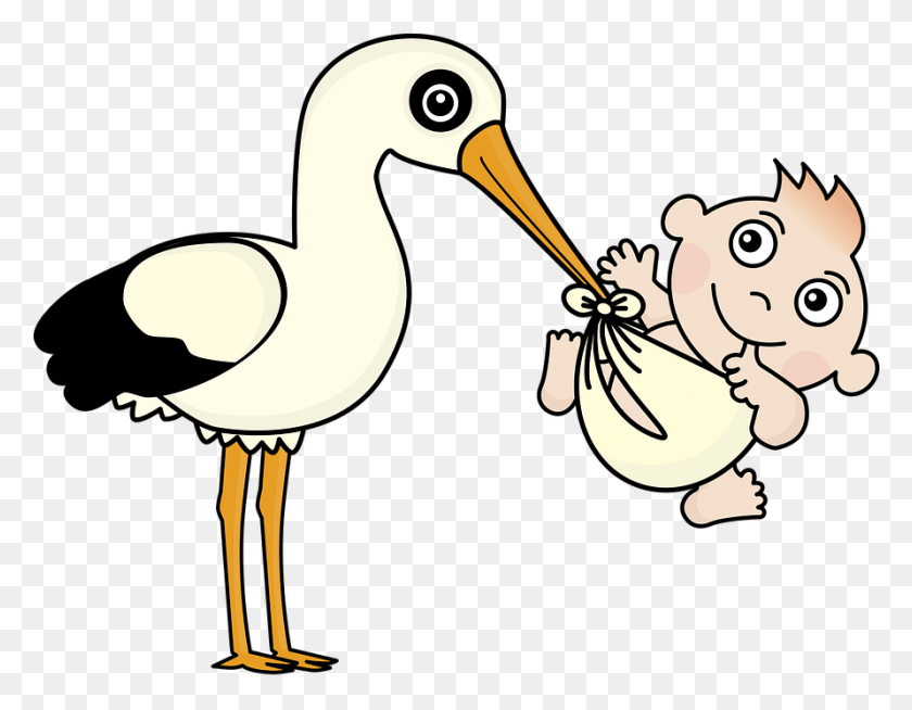 891x679 Stork Baby Child Birth Event Spring Cute Baby Boy Announcement Message, Beak, Bird, Animal HD PNG Download